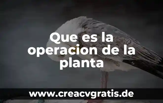 Que es la planta del chipilin 4 Que es la operacion de la planta