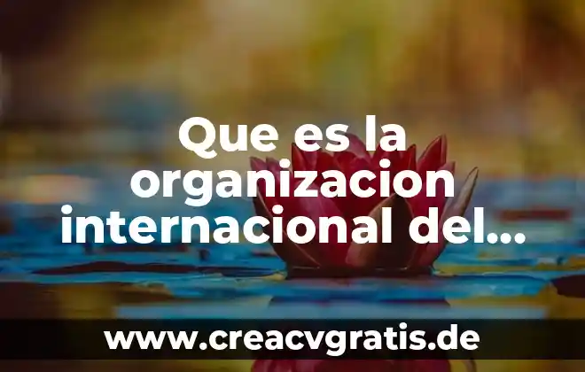 Qué es legalidad internacional 8 Que es la organizacion internacional del cafe