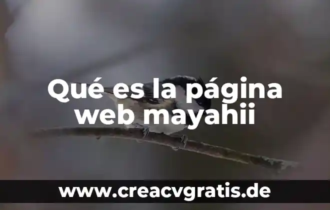 Que es web m 5 Qué es la página web mayahii