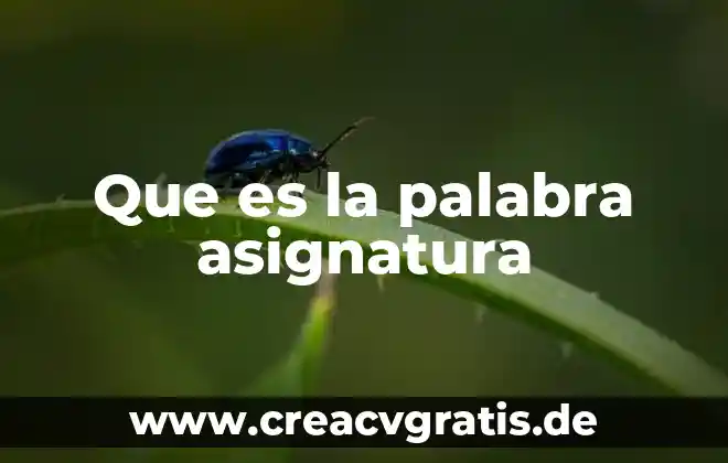 Palabra que significa algo que es inalcanzable 6 Que es la palabra asignatura