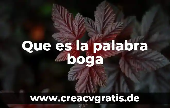 Que es el sistema de arrendamiento 4 Que es la palabra boga