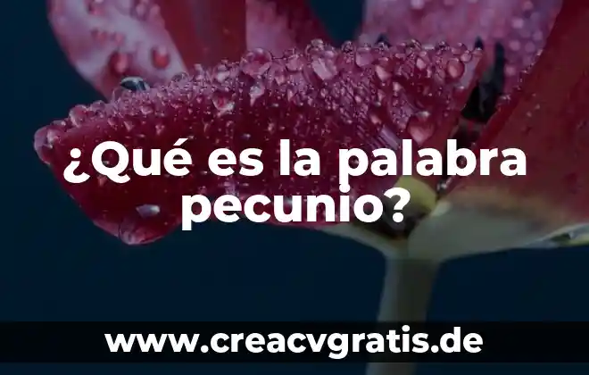 Que es argumento o trama en un cuento 6 ¿Qué es la palabra pecunio?