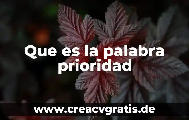 Qué es el significado de la palabra profetizar 6 Que es la palabra prioridad