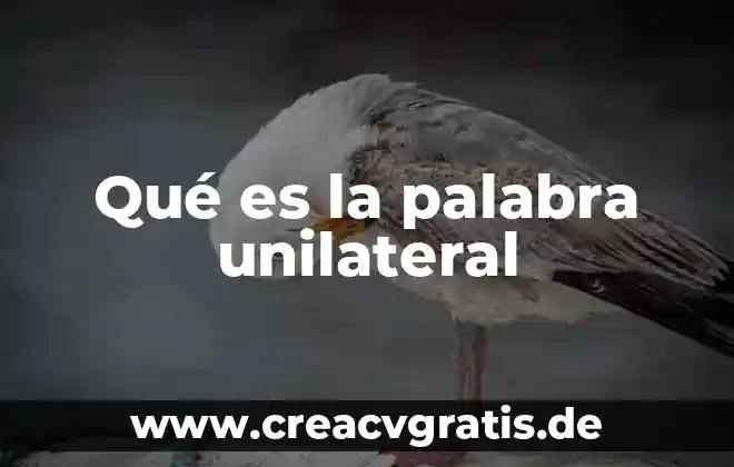 Palabra que significa algo que es inalcanzable 3 Qué es la palabra unilateral