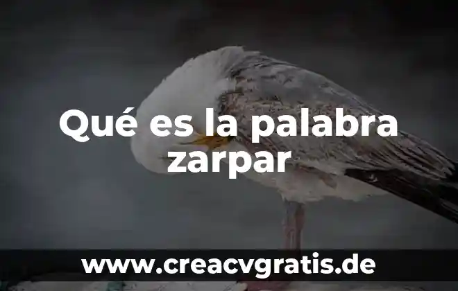Que es el significa de la palabra racismo 8 Qué es la palabra zarpar