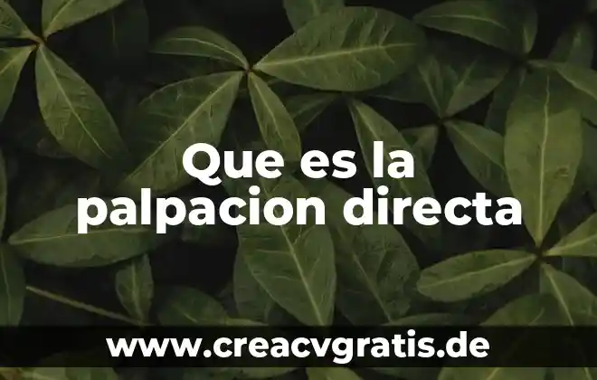 Que es evidencia directa 3 Que es la palpacion directa