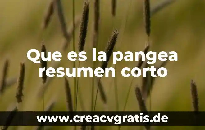 Que es la discriminina significado corto 5 Que es la pangea resumen corto