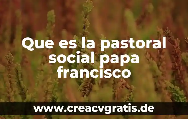 ¿Qué es la iglesia según el Papa Francisco? 7 Que es la pastoral social papa francisco