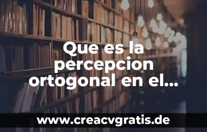 Que es estructura expresiva en arte 8 Que es la percepcion ortogonal en el arte