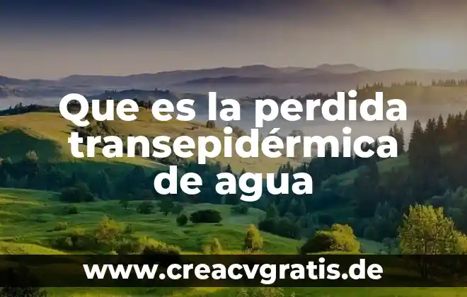 Almacenamiento de agua en cisternas de ferrocemento artesanal que es 7 Que es la perdida transepid茅rmica de agua