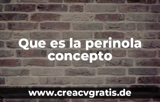 Que es un cientifico concepto 8 Que es la perinola concepto