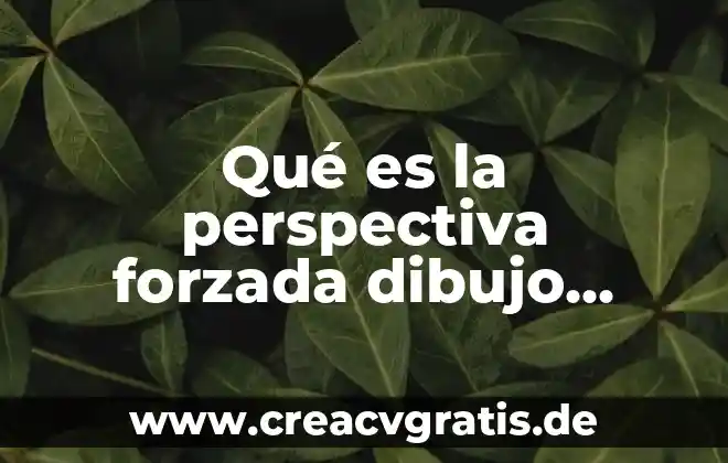 Qué es la proyección perspectiva con dos punto de fuga 8 Qué es la perspectiva forzada dibujo técnico