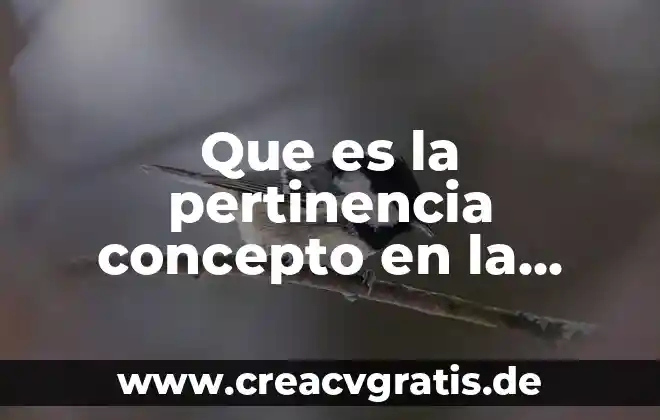 Qué es compuesto concepto ejemplos 7 Que es la pertinencia concepto en la materia de logica