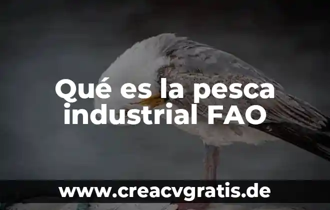 Que es usuario industrial 6 Qué es la pesca industrial FAO