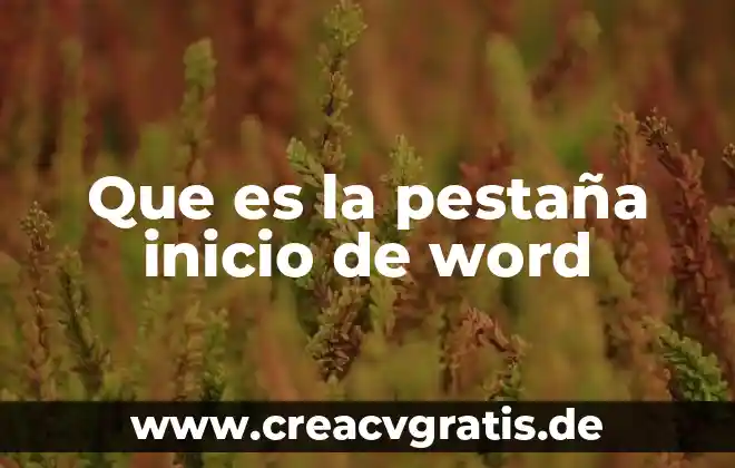 Que es el credito compuesto 5 Que es la pestaña inicio de word
