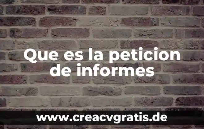 Agnor que es 3 Que es la peticion de informes