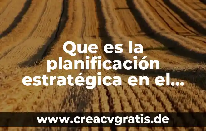 Qué es visión en administración estratégica 4 Que es la planificación estratégica en el sector salud