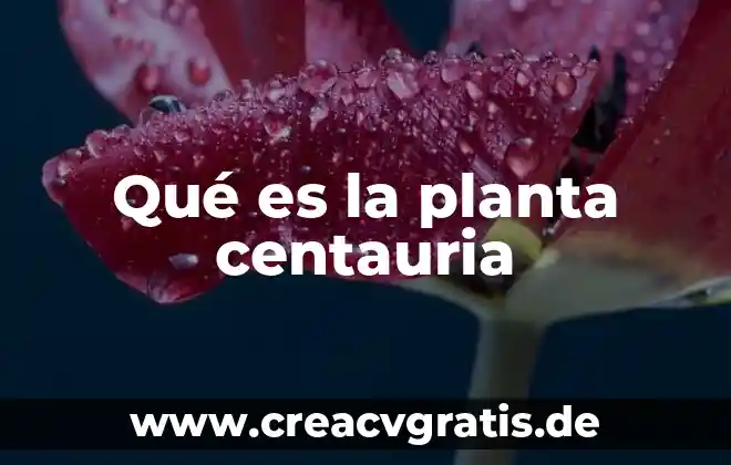 Qué es una planta termosolar 6 Qué es la planta centauria