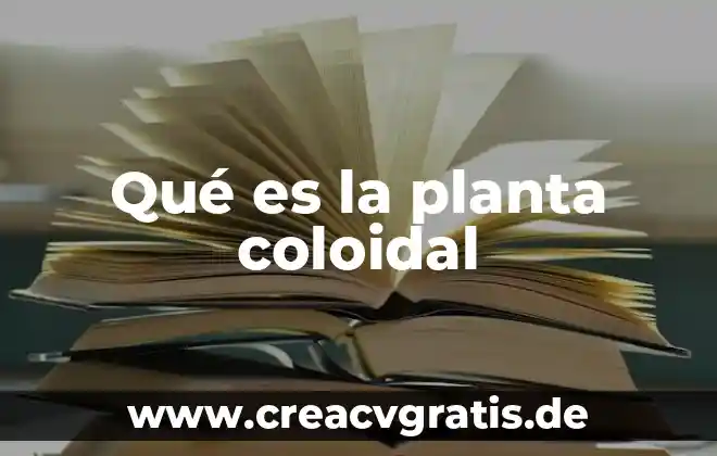 Que es el suche planta 6 Qué es la planta coloidal
