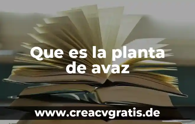 Fórmula química que es y un ejemplo 5 Que es la planta de avaz