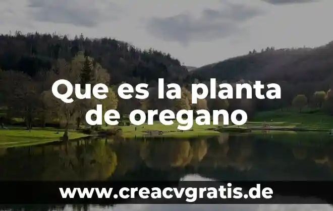 Que es la resina de una planta 4 Que es la planta de oregano