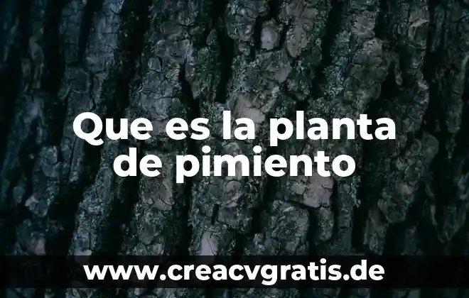 Que es una planta autogama y alogama 5 Que es la planta de pimiento