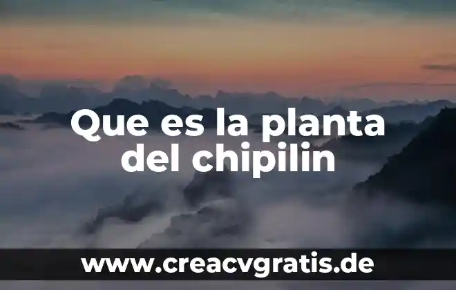 Que es la operacion de la planta 5 Que es la planta del chipilin