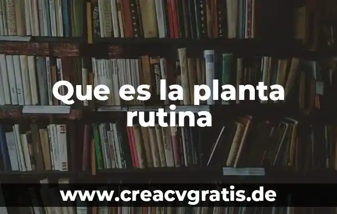 Que es una rutina de trabajo 4 Que es la planta rutina