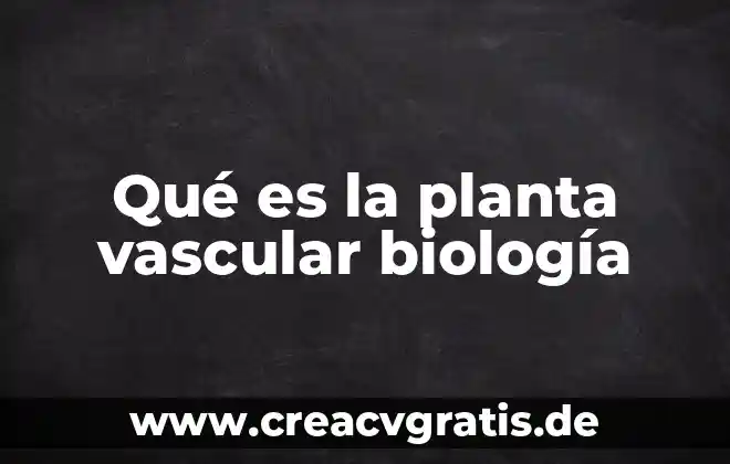 Que es planta particular 3 Qué es la planta vascular biología