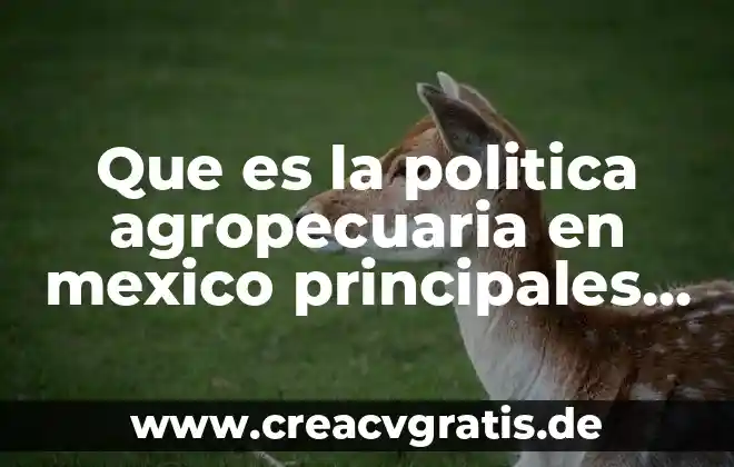 Qué es lemongrass en México 5 Que es la politica agropecuaria en mexico principales intrumentos
