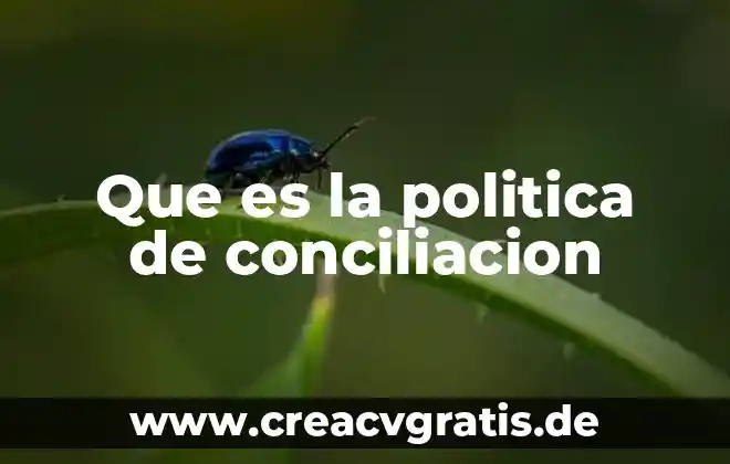 Que es superficialidad politica 7 Que es la politica de conciliacion
