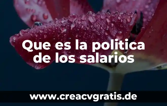 Que es politica de la corporación 3 Que es la politica de los salarios