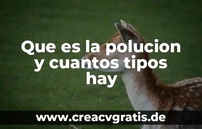 Qué es el estrabismo y cuántos tipos hay 6 Que es la polucion y cuantos tipos hay