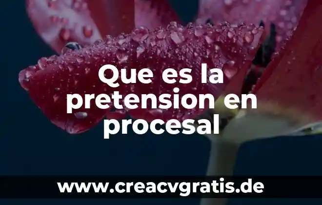 Que es un rostros fisicos 6 Que es la pretension en procesal