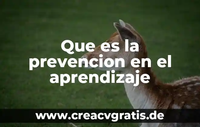 ¿Qué es la prevención primaria en ciencias de la salud? 3 Que es la prevencion en el aprendizaje