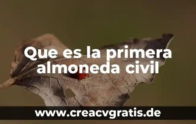 Primera infancia en los niños que es con palabras entendibles 5 Que es la primera almoneda civil