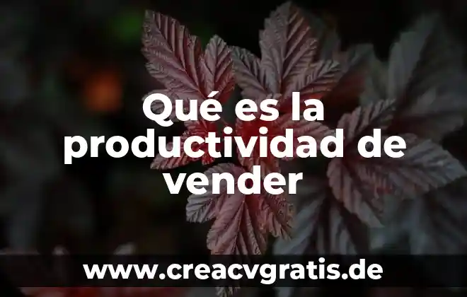 Que es un minuto estandar en productividad 5 Qué es la productividad de vender