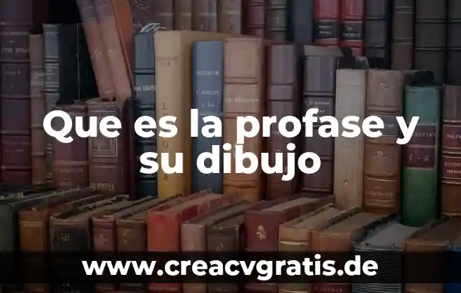 Que es el dibujo a lapiz de color 5 Que es la profase y su dibujo