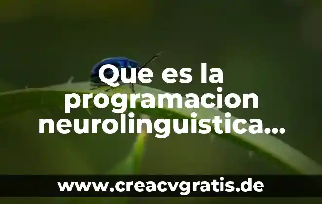 Que es el curriculum en espiral ejemplo 5 Que es la programacion neurolinguistica en la educacion