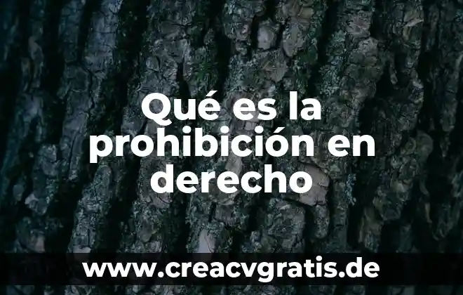 Que es el derecho federal estatal y municipal 5 Qué es la prohibición en derecho