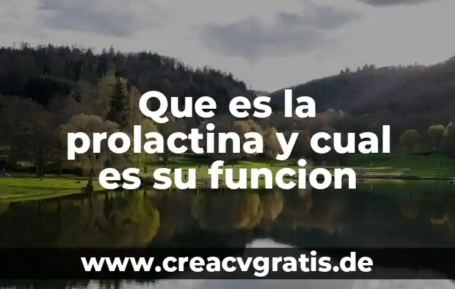 Que es el chocolate y cual es su proceso 4 Que es la prolactina y cual es su funcion