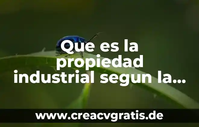 Que es el internet information services iis 2016 7 Que es la propiedad industrial segun la ley 2016
