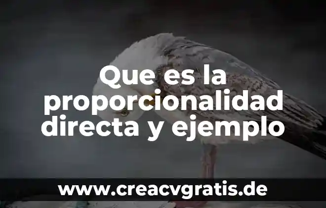 Que es una constante de proporcionalidad ejemplos 8 Que es la proporcionalidad directa y ejemplo