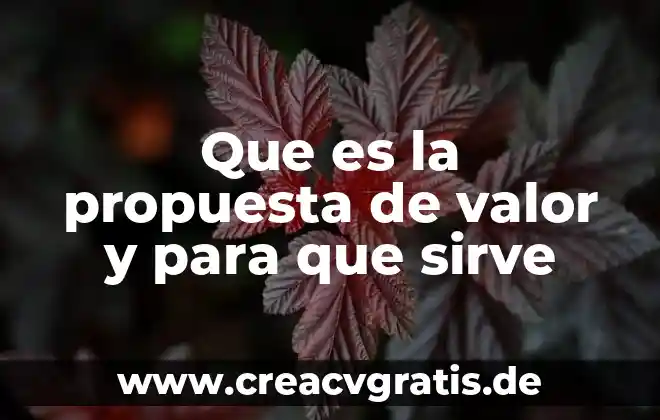 Que es el valor de significa verdad 8 Que es la propuesta de valor y para que sirve