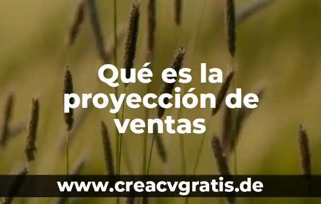 Que es cambaceo en ventas 3 Qué es la proyección de ventas