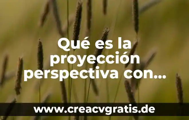 Que es la perspectiva sistémica 3 Qué es la proyección perspectiva con dos punto de fuga