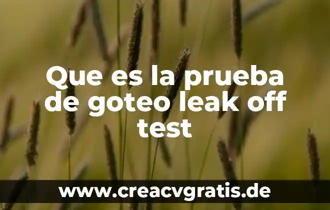 Que es mas famoso test 8 Que es la prueba de goteo leak off test