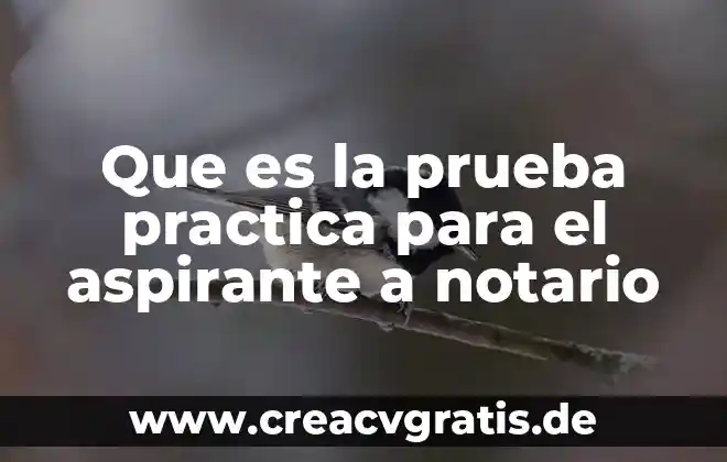 Qué es un número de notario 6 Que es la prueba practica para el aspirante a notario