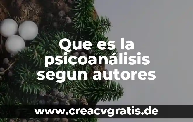 Que es ser narcisista en psicoanalisis 4 Que es la psicoanálisis segun autores