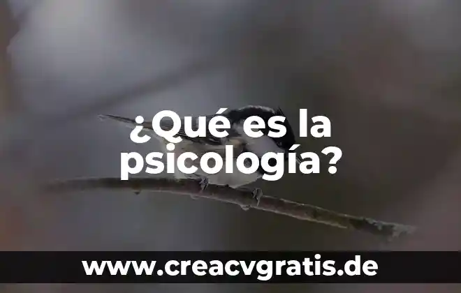 Qué es el umbral psicología 5 ¿Qué es la psicología?